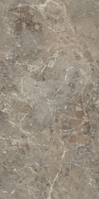  Керамическая плитка 60*120 BRECCIA BOREALE BROWN INFINIA SUGAR CARVING IT (ППх) от GRESANT
