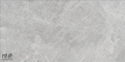 Керамогранит NTT9118 Tundra Pearl mat от NT CERAMIC