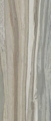  Керамогранит PALISANDRO GRAY PUL. (6mm) (полированная) от TAU