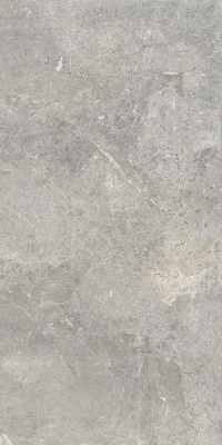  Керамическая плитка EVERGREIGE RET(T) 60X120 от CERCOM