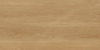  Albero Beige 60х120 от 
