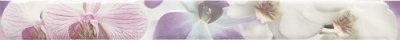  Paris Listelo Orquidea Lila 7.5х75 (2рой сорт) от 