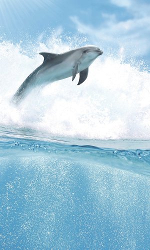  Porto Dolphins B Панно 100x60 (4пл) от CERROL