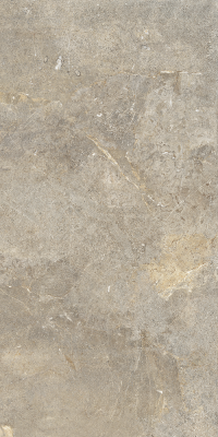  Керамическая плитка EVERBROWN RET(P) 60X120 от CERCOM