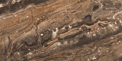 Керамогранит Richter brown High glossy 60x120 GR204 от PRIMAVERA