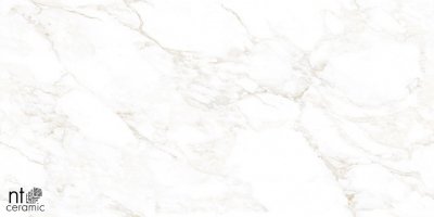  Керамогранит Marble Extra Endless от NT CERAMIC