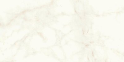  Плитка Marvel Shine Calacatta Delicato 60x120 Matt (1,44 кв.м.) от ATLAS CONCORDE ITALY