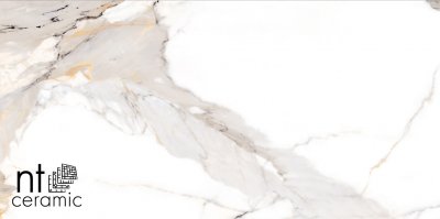  Керамогранит NTT9120M Calacatta Light Grey mat от NT CERAMIC