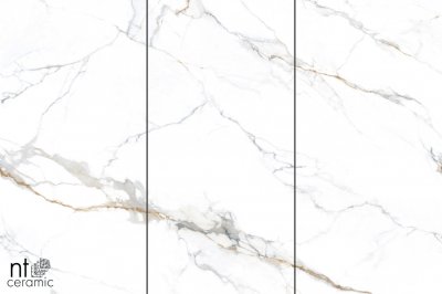  Керамогранит Carrara Gold mat от NT CERAMIC