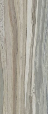  Керамогранит PALISANDRO GRAY NAT. (6mm) (матовая) от TAU