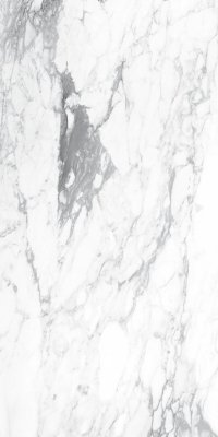  Керамическая плитка 60X120 INC PAONAZZETTO GL RT (x) от RAGNO